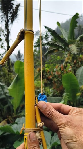 Unique yellow bamboo slingshots for hunting #slingshot