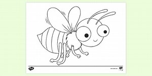 Insect Colouring Page