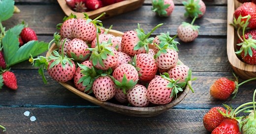 Pineberry & Pineberries (Everything You Need To Know)