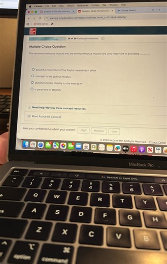 The semimembranosus muscle and the semitendinosus muscle are ve... | Filo