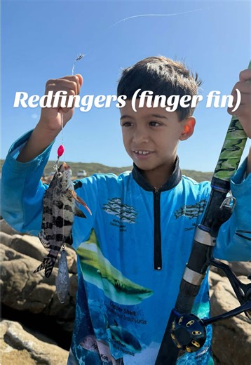 Discovering New Redfinger Species in South Africa