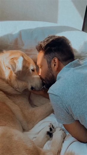 The Simba Foundation on Instagram: "Some souls don’t just walk beside us, they carry us. Simba was my dog, yes, but he was so much more than that. He was special in a way you can’t explain unless you felt it. To the people who met him, to the people who only ever knew him through a screen, he left something behind in everyone. He was my safe space. Through my deepest, darkest moments. Through my twenties, into my thirties. When the world felt heavy, he was the place I rested. When I felt lost, h