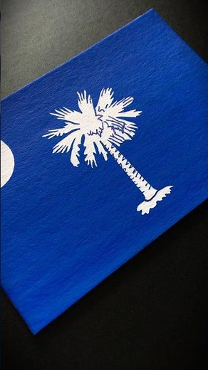 SOUTH CAROLINA (state) 🇺🇸 Flag Drawing #unitedstates #flags #art