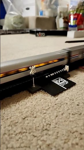 Amtrak #180 at the Railroad Crossing #train #amtrak