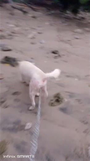 Eclipse win win pasyal kami sa tabingdagat