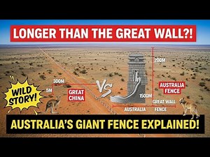 Why Australia Built a Fence Longer Than the Great Wall (The Wild Story!)