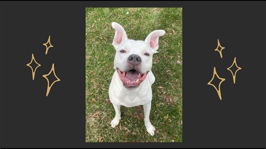 9K views · 219 reactions | Today marks one full year that Charlie has...