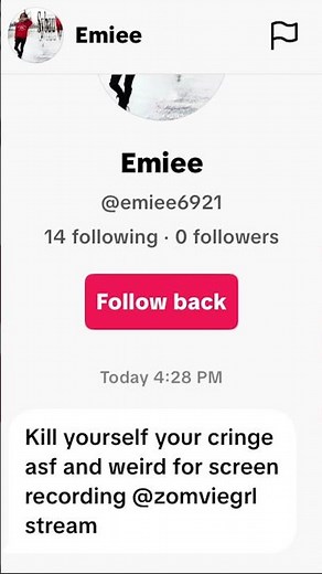 The definition of a discord kitten #fyp