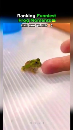 Top 7 Frog Moments That'll Crack You Up!