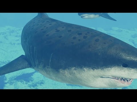 Megalodon Family: Prehistoric Animals & Pets Film | Jurassic World Cinematic
