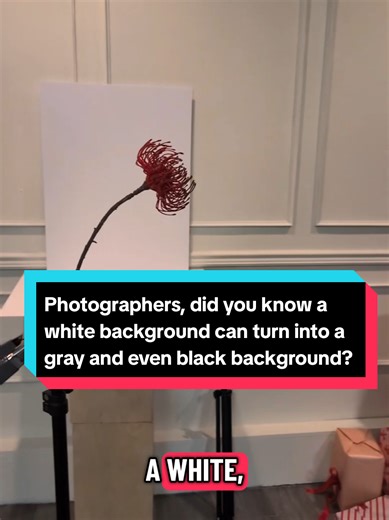 Photographers, our name literally means researchers of light! It is honestly amazing how light can transform a scene depending on how you shape it! #photography #photographytips #learnfromme #photographerlife @Paul C Buff Inc. @canonusa