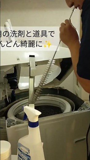 洗濯機 完全分解洗浄
