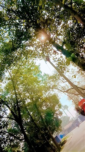 Zindagi Ki Na Toote Ladi 👩🏽‍🦽❤️😭 #shorts #song #hindisong #viral #bolleywoodsong #trending