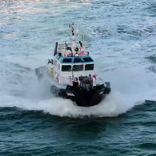 パイロットボート マゼラン海峡 水先人 199ピースボート