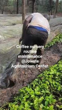 Jowate Agrotourism Center is located in Ntooma Bwijanga Sub-County Masindi District +256772351865.