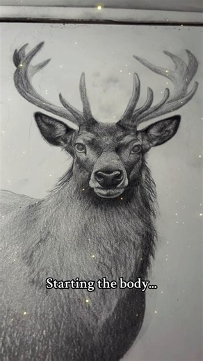 Captivating Pencil Drawings of Animals in Nature