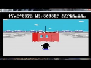 Antarctic Adventure (Colecovision) gameplay