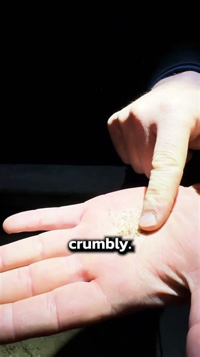 Professionals Inspect for Bats