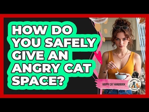How Do You Safely Give An Angry Cat Space?