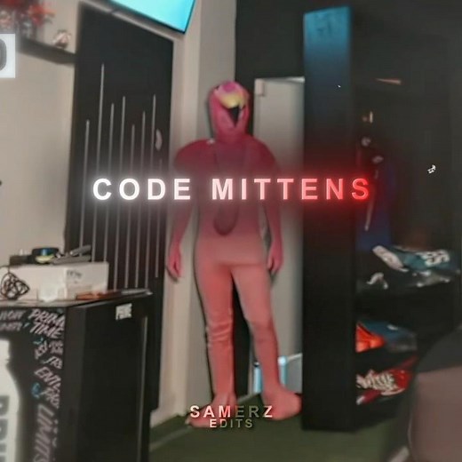 Code Mittens finally finds Speed 😱 | #ishowspeed #ishowspeedshorts #speed #speededit #codemittens