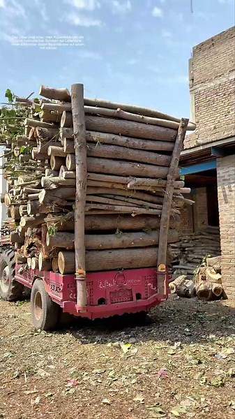 Holzkipper entlädt: Wie ein hydraulischer Anhänger tonnenschwere Stämme abkippt