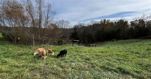 Homegrown by Heroes: Supporting Kentucky’s military farmers