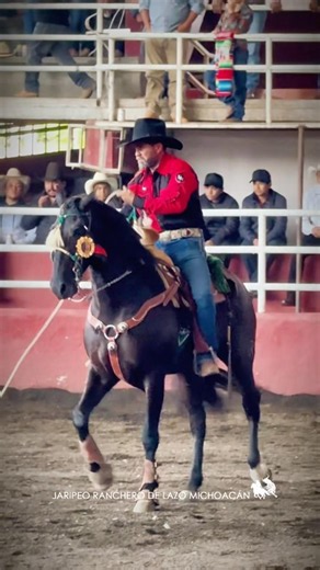 ‼️🔥The Genius Tabarin Hernández at the Don Vasco Pavilion in Morelia🔥‼️ #JRDLM #Jaripeo #bulls #fly