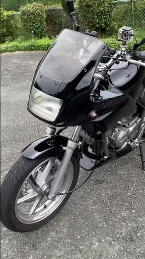 ホンダゼルビス250