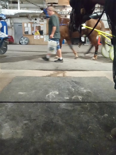 Harness Racing Insights from Race Day at Ashley Nicole Ranch