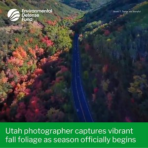 POV: you're driving in Utah on the first day of fall 🍂 🍁 Drone footage captured over Morgan County, Utah, showed vibrant fall foliage on Saturday, September 23, marking the official start to the season in the northern hemisphere. The video was posted by Scott T. Taylor, a resident of Magna, who said they shot along State Highway 65 near Big Mountain Summit. Fall foliage typically peaks in the region from mid-September to early-October, according to the Utah Office of Tourism. #Fall #Foliage #F
