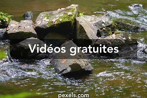 Meilleures vidéos sur le thème Uncensored japanese mom and son