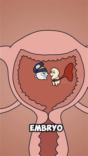 Why Pregnant Women Get Morning Sickness? #animation #funny