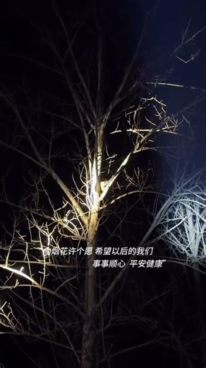 What a big mouse. Outdoor animals. Protect wild animals. Douyin assistant.