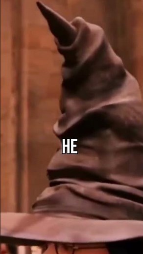 The Sorting Hat’s Darkest Glitch 🧙‍♂️