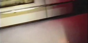 Experiment 1006: Unveiling the Prototype 🦾