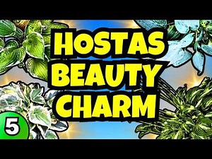 🌺[5] 5 Stunning Hosta Varieties for Shade Gardens 🌿 | Elegant Foliage Ideas