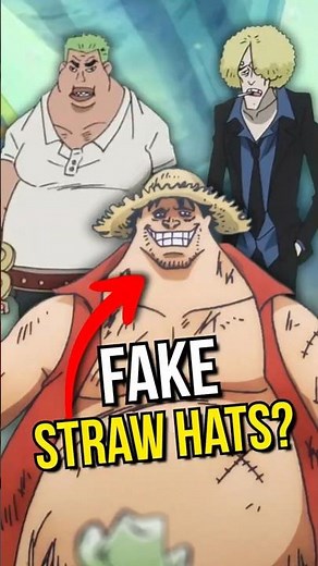 Who are Actually the Fake Straw Hats?