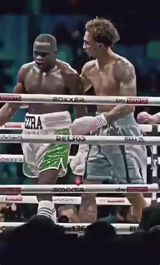 Devour Sheep on TikTok