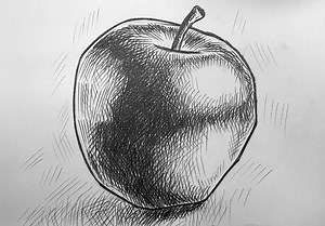 APPLE DRAWING: Draw an apple with a pencil [Video]