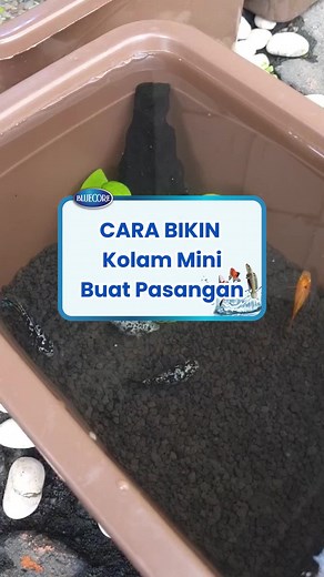 bluecore.id on TikTok