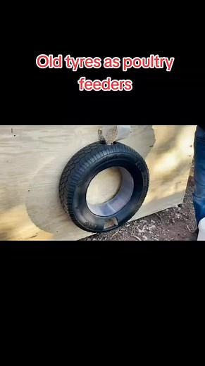 Creative Chicken Feeders Using Old Tyres