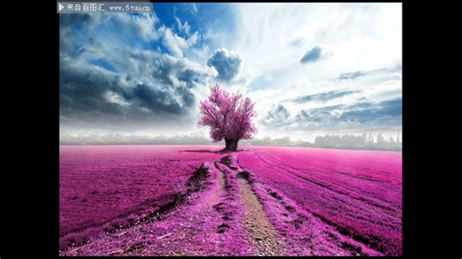 金帝集成灶维修售后|24小时全国统一售后受理中心