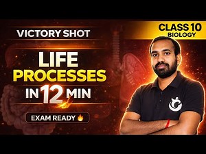 Life Processes: Everything You Need To Know For Class 10! | NCERT - ONE SHOT