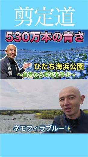 Nemophila Hill: From a torrential downpour to a clear blue landscape under a sunny sky #pruningme...