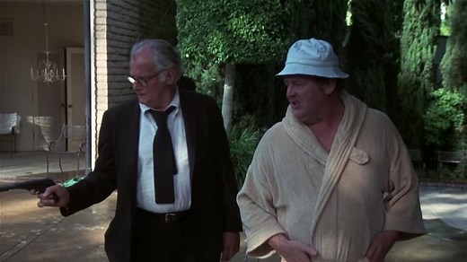 The Late Show (1977) (1080p)🌻 70's Movies