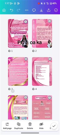 Portfolio of Pink Designs and Immersion