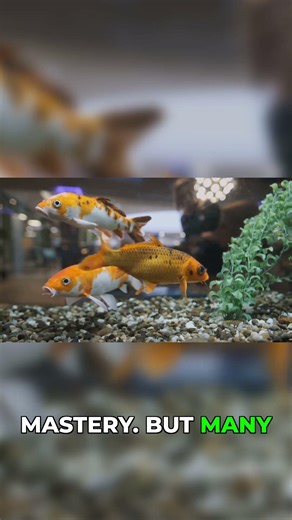 These Fish Will Destroy Your Tank #aquarium #beginner