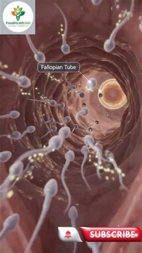 The Race That Created You: How Human Life Actually Begins Prompt #shorts - Origin Story
