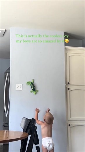 🦎 Wall Crawler Gecko — your walls are about to get wild! Watch this remote-controlled lizard crawl up floors and scale walls like it's got places to be. Glow-in-the-dark eyes and hyper-realistic movement turn ordinary rooms into epic playgrounds. Perfect for kids, prank fans, or anyone who loves toys that move—not just sit. | Gothaw