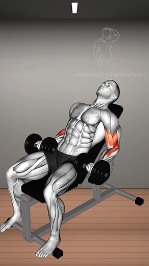 Workout Inspiration on Instagram: "💪 BEGINNER ARM WORKOUT ALERT 💪 Embark on your fitness journey with our full arm day workout, specially designed for beginners! 🌟 No matter where you are in your fitness journey, it’s always the right time to strengthen and tone those arms! 🚀 🔥 WHAT TO EXPECT: Comprehensive arm workout targeting biceps, triceps, and forearms. Focus on form, control, and gradual progression. 🌟 KEY POINTS: Prioritize good FORM 🏆 Adopt PROGRESSIVE OVERLOAD 📈 Ensure adequate